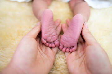 Closeup of newborn baby feet sleeping on bed