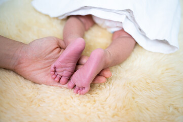 Closeup of newborn baby feet sleeping on bed