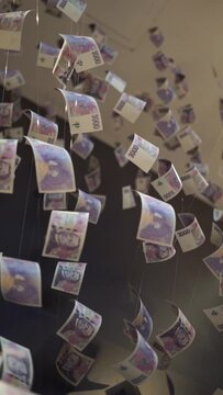 Czech crown banknotes vertical video