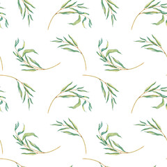 Watercolor seamless pattern fresh foliage weeping willow tree. Nature landscape, simple tree branches with green leaves isolated on white. Hand drawn botanical illustration green tones