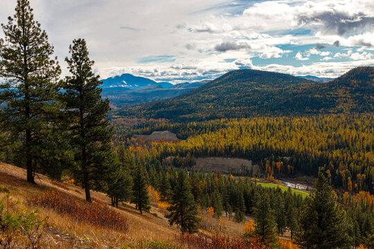 autumn landscape in the mountains