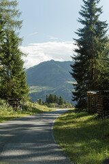 View of the road and the Alpine mountains