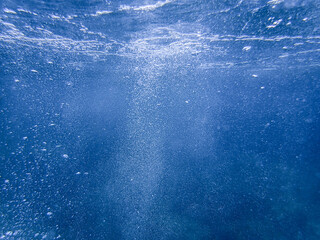 bubbles, bubbles undersea, undersea, green water, underwater, crystal sea, background, sea, bubble,...