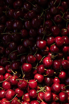 Shot of deep red cherries in partial shadow at a market in Porto, Portugal. 