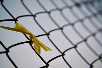 A yellow ribbon tied to a wire fence, symbolising the solidarity for hostages taken during the...