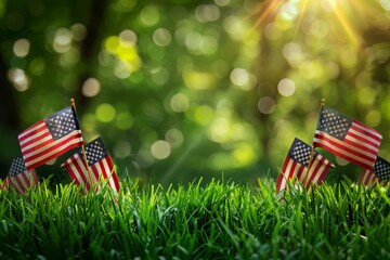 Flags placed grass park sun shining