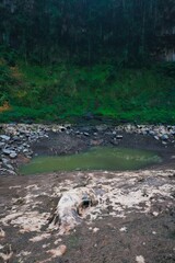 sequ&iacute;a y contaminaci&oacute;n 4