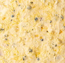 Detail of four cheese pizza.