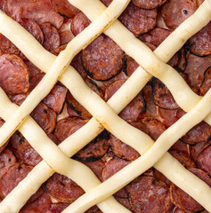 Detail of calabrian sausage and Catupiry cream cheese pizza.