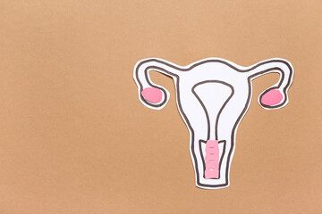 Paper uterus on brown background