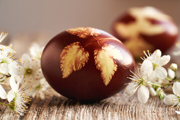 Closeup of a brown Easter egg dyed with onion skins with a pattern of fresh leaves