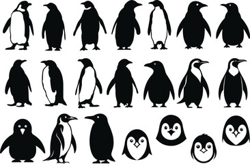 Penguin silhouette vectors © VYCstore