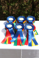 Wonderful equestrian prizes for the participants at an open air equestrian event