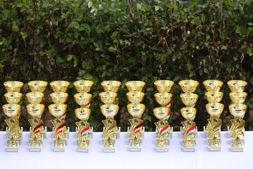 Wonderful equestrian prizes for the participants at an open air equestrian event