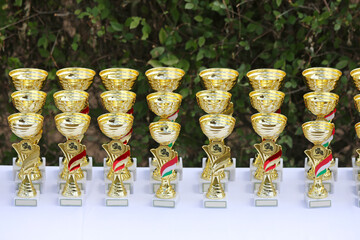 Wonderful equestrian prizes for the participants at an open air equestrian event