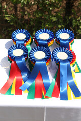 Wonderful equestrian prizes for the participants at an open air equestrian event