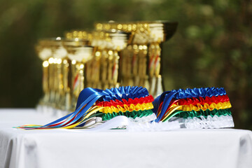 Wonderful equestrian prizes for the participants at an open air equestrian event