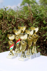 Wonderful equestrian prizes for the participants at an open air equestrian event
