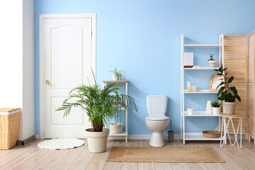Interior of restroom with toilet bowl, shelving unit and plant near blue wall