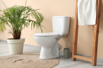 Interior of restroom with toilet bowl, ladder and plant near beige wall
