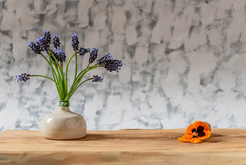 bouquet of Grape hyacinths in a gray vase