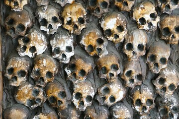 Close up of human skulls arranged on the wall