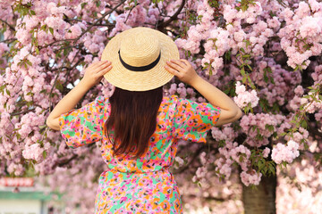 Woman in straw hat near blossoming tree on spring day, back view