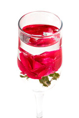 Champagne glass of red rose blossom