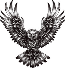 Eagle Vector Illustrations