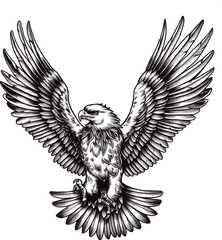 Eagle Vector Illustrations