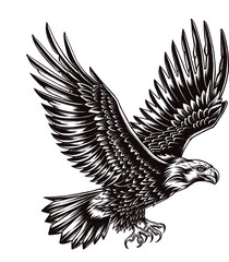 Eagle Vector Illustrations