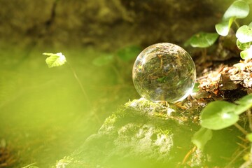 Beautiful forest, overturned reflection. Crystal ball on stone surface outdoors
