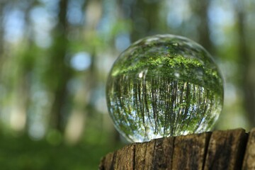 Beautiful green trees outdoors, overturned reflection. Crystal ball on stump in forest. Space for...