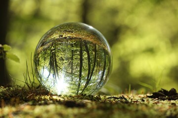 Beautiful green trees outdoors, overturned reflection. Crystal ball in forest, space for text