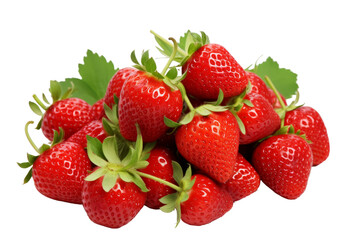 Ripe Delicious Strawberries Bush isolated on transparent background, png, cut out.
