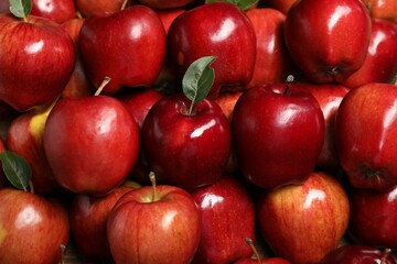 Fresh ripe red apples with leaves as background, closeup