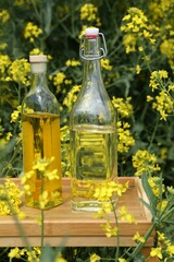 Rapeseed oil in bottles on tray among flowers outdoors, closeup