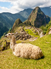 machu picchu in the andes © Bruce