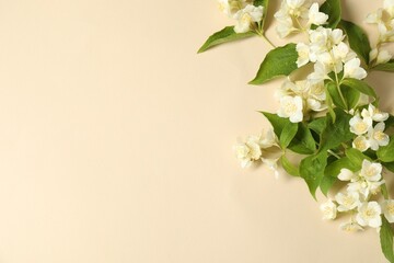 Aromatic jasmine flowers and green leaves on beige background, flat lay. Space for text