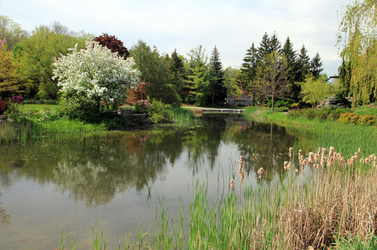 Spring landscape of the park with trees and pond