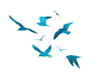 Flying blue seagulls silhouette. hand drawing. Not AI, Vector illustration