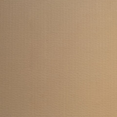 brown cardboard texture