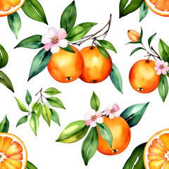 watercolor clip art oranges with leaves and flowers