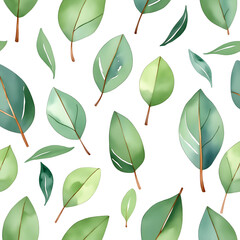 watercolor green eucalyptus leaves on a white background