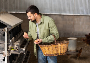 Interested positive young bearded farmer engaged in breeding of laying hens, collecting fresh eggs...