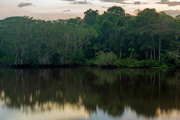 Amazon rainforest sunset reflection, Yasuni national park, Ecuador.