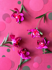 Vibrant Pink Orchids with Green Leaves on a Textured Pink Background with Polka Dots.