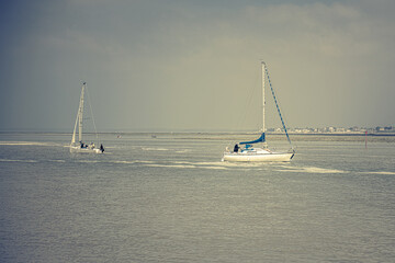 sailboats on the sea