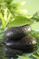 Wet spa stones and green leaf in water on blurred background