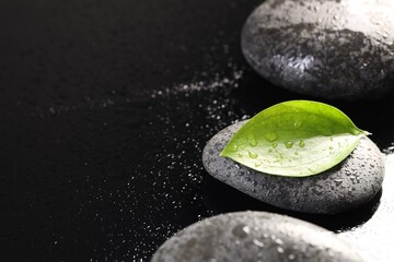 Wet spa stones and green leaf in water on black background, closeup. Space for text